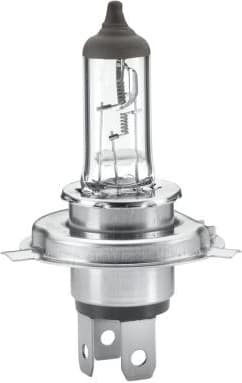 Bulb HEAVY DUTY 8GJ 002 525-251