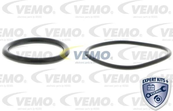 Fuel Pump EXPERT KITS + V10-09-0806 - image 2