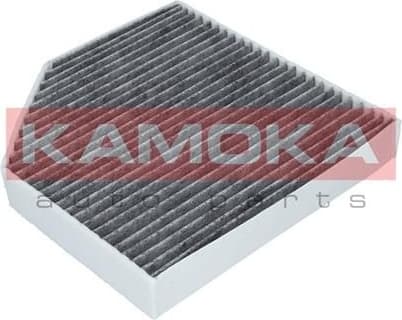 Filter cabin F509301