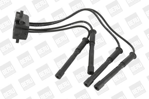 ZS 454 (BorgWarner (BERU))