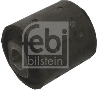 Mounting, differential 08858