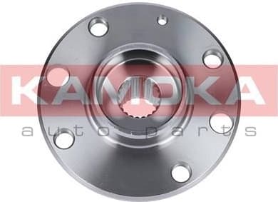 Wheel Hub 5500103
