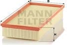 Air Filter C39002
