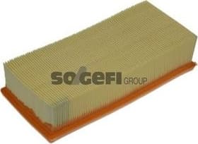 Air Filter A1307