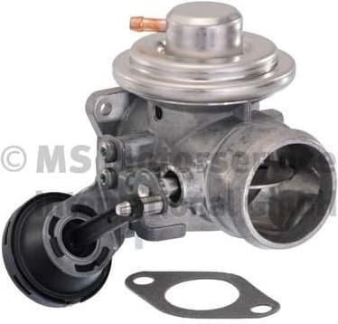 EGR Valve 7.24809.17.0
