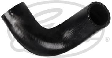 Radiator Hose 2005