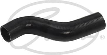 Radiator Hose 3121