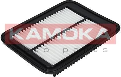 Air Filter F226101