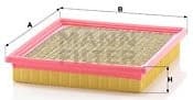 Air Filter C24100