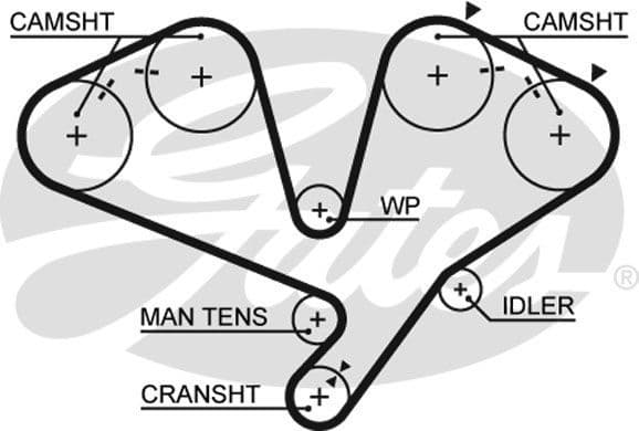 Timing Belt PowerGrip™ 5442XS - image 2