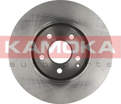 Brake discs kit front (2pcs) 1031071 - image 4