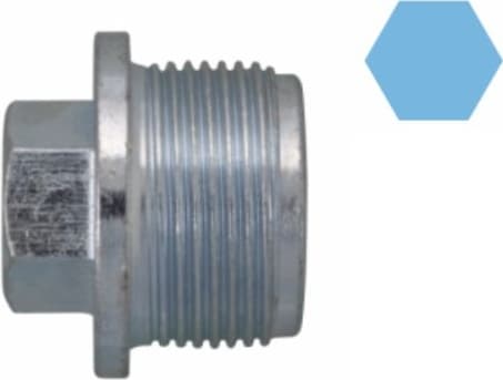 Screw Plug, oil sump 220152S