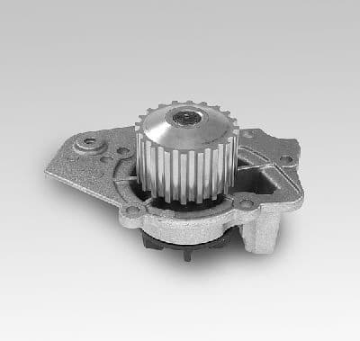 Water Pump, engine cooling P816