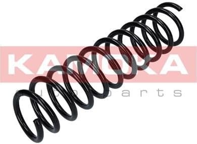 Coil spring 2120236