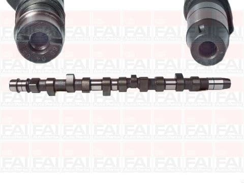Camshaft C231