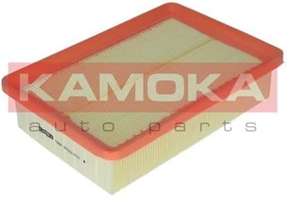 Air Filter F205801