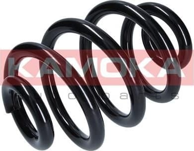 Coil spring 2120076