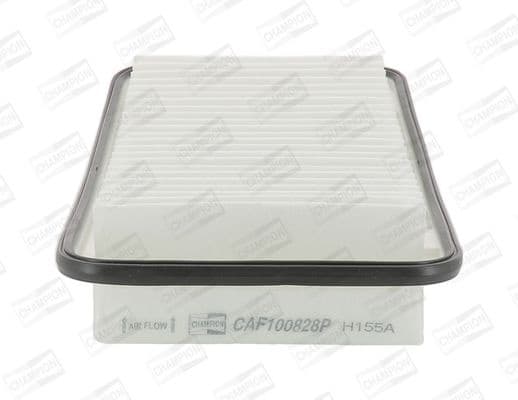 Air Filter CAF100828P
