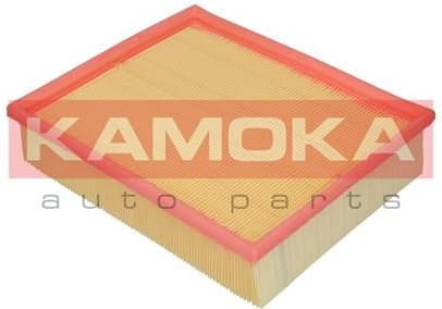 Air Filter F200101 - image 2