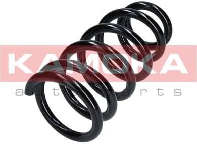 Coil spring 2120286