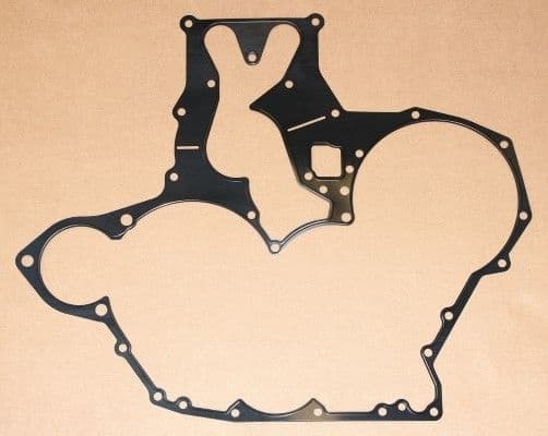 Gasket, timing case 008.880