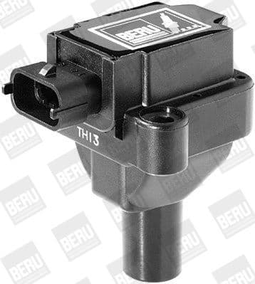 ZS 030 (BorgWarner (BERU)) - image 4