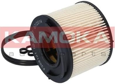 Fuel Filter F308101 - image 3