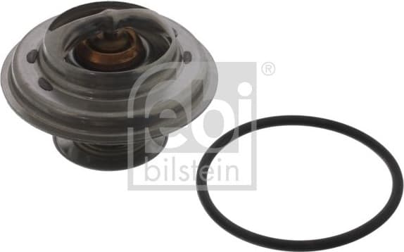Thermostat, coolant 01598