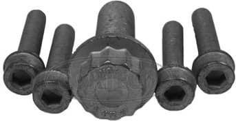 Bolt Set, crankshaft pulley 80001263