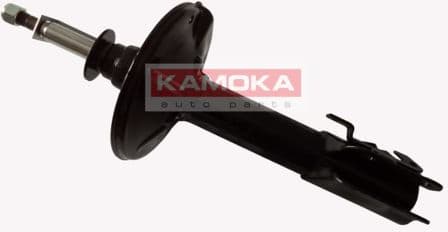 Shock Absorber 20333039