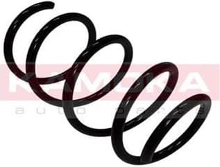 Coil spring 2110256