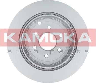 Brake Disc 1031083
