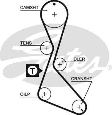 Timing Belt PowerGrip™ 5370XS - image 2