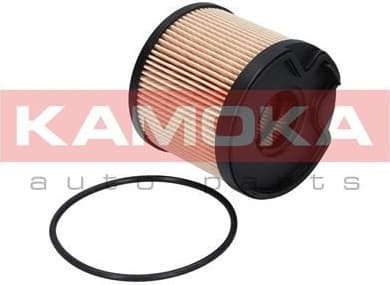 Fuel Filter F305101 - image 2