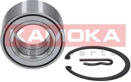 Wheel Bearing Kit 5600038