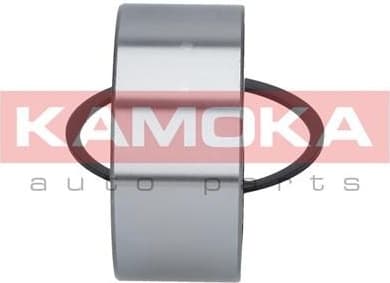 Wheel Bearing Kit 5600038 - image 4