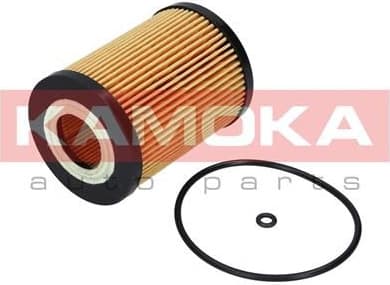 Filter oil F111301