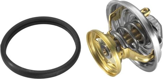 termostatas, aušinimo skystis - image 3