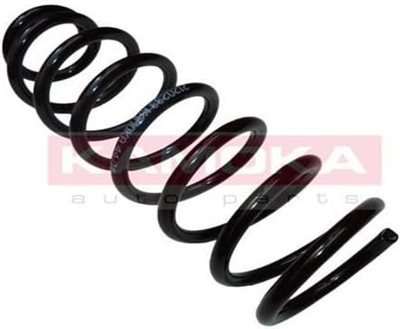 Coil spring 2120233