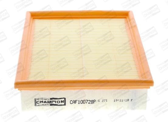 Air Filter CAF100728P