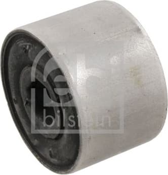 Mounting, control/trailing arm 29839