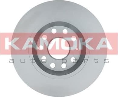 Brake discs kit rear, (2pcs) 1031005 - image 4