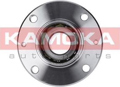 Wheel Bearing Kit 5500042