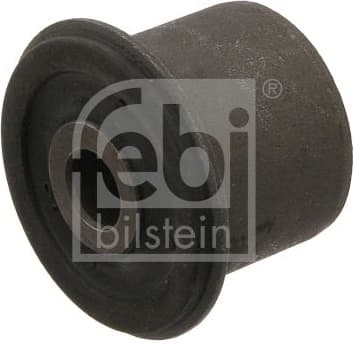 Mounting, control/trailing arm 31271