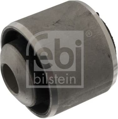 Mounting, control/trailing arm 100462