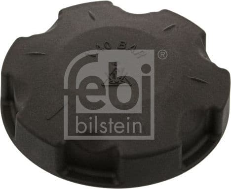 Cap, coolant tank 46221