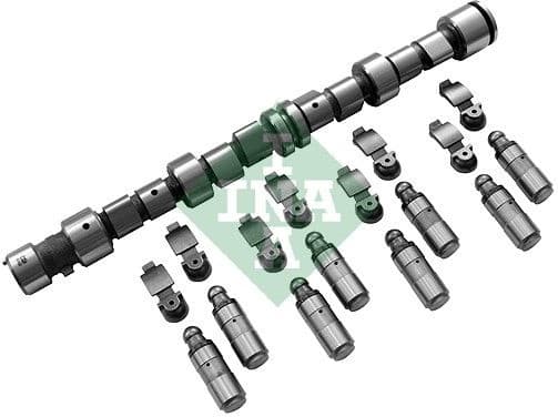 Camshaft Kit 428004130