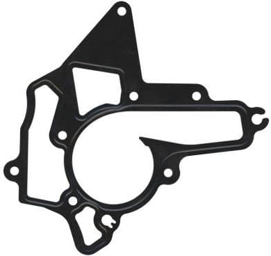 Gasket, water pump 809.284