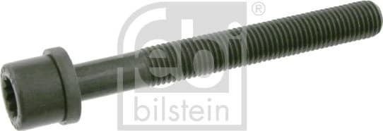 Cylinder Head Bolt 06666