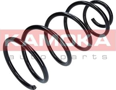 Coil spring 2110259